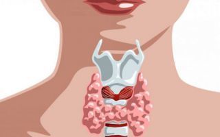 Какие исследования помогают выявить патологию щитовидной железы
