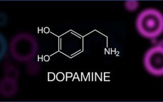 Гормон Допамин и сфера его применения