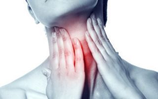 Функции, гормоны и патологии щитовидной железы