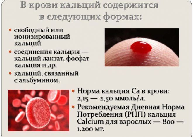Формы кальция в крови