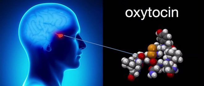 Окситоцин