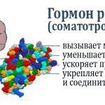 stimulyatory-vyrabotki-gormona-rosta-5959-large